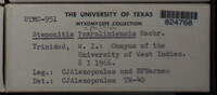 Image Associated With the Occurence